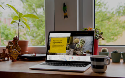 Cactus Guest Sitio Web - Creación de Sitios Web