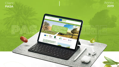 Branding and website for PASA Algérie - Branding y posicionamiento de marca