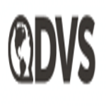 DVS logo
