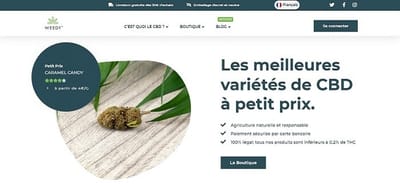 Gestion SEO d'un site de CBD - SEO