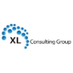 XLi Consulting Group logo
