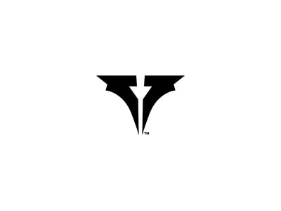 Taurus Analysis - Image de marque & branding