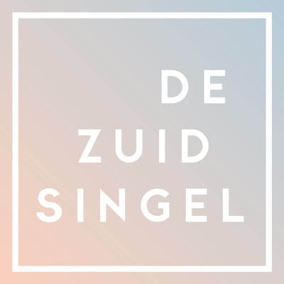 De Zuidsingel, daar kun je niet omheen - Website Creatie