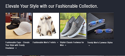Barbara Shopify Store Design - E-commerce