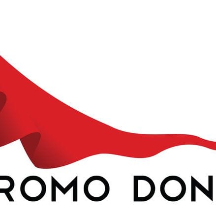 The PromoDonna