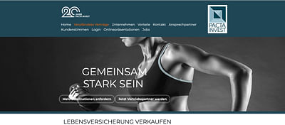 Web-Vertriebsportal - Pubblicità online