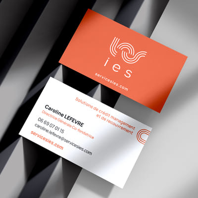 Identité Visuelle - IES - Création de site internet