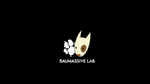 Baumassivelab logo