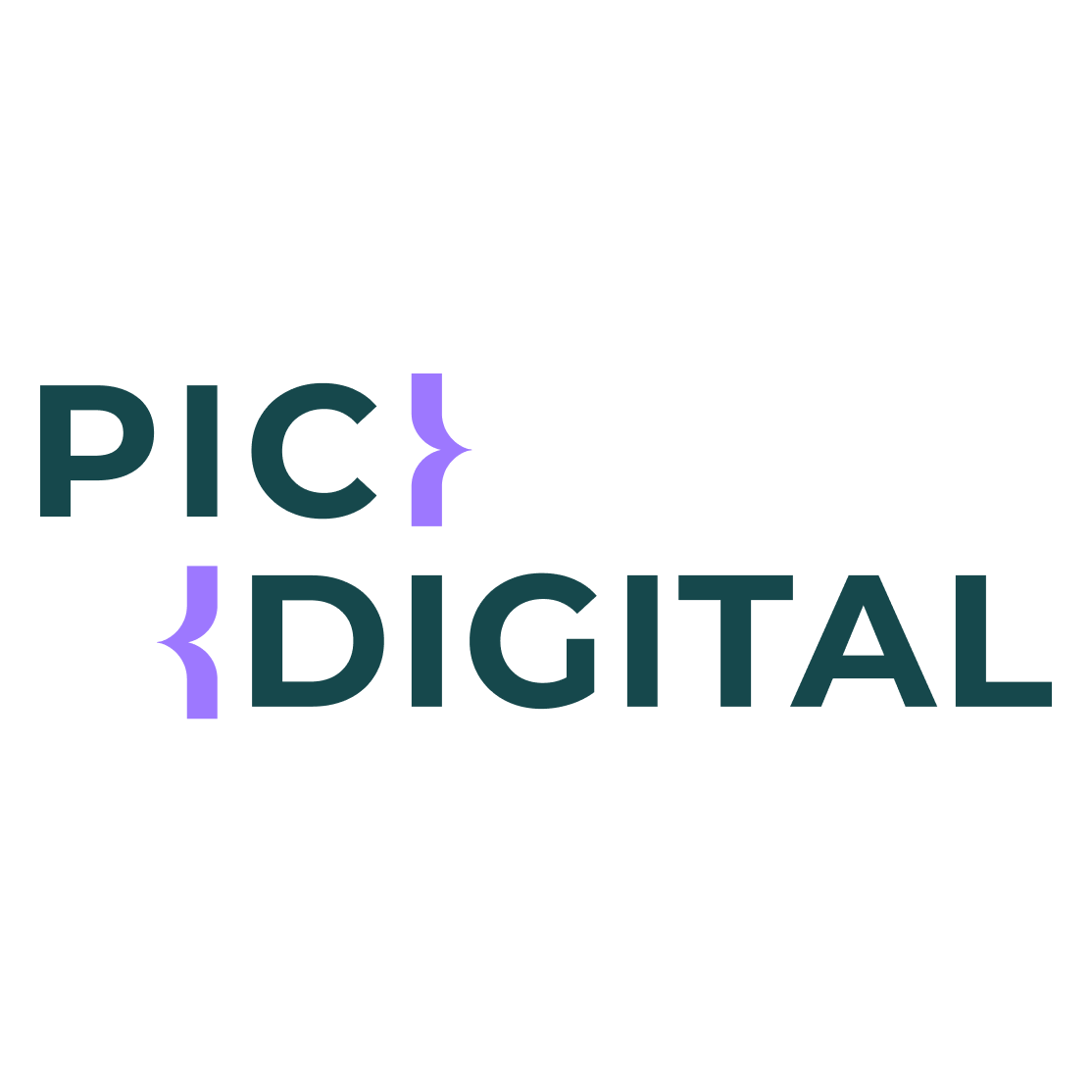 PIC DIGITAL