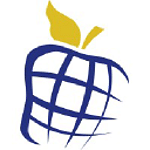Newt Global Consulting LLC