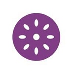 Steelfig | Digital Marketing Agency