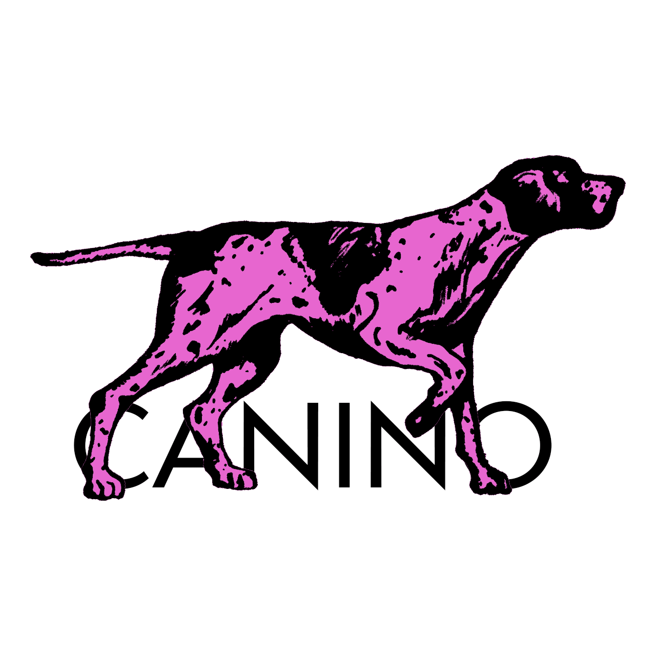 Canino Films