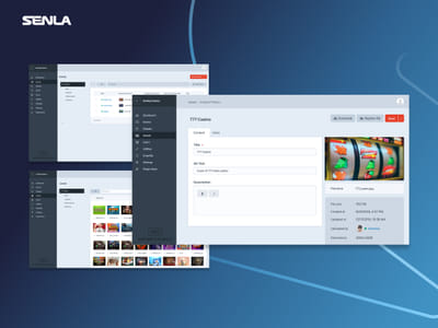 Enhanced website and CMS for an iGaming Company - Web Application