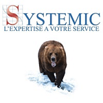 Systemic logo