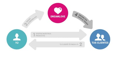 Desarrollo de plugins de Dropshipping. - Website Creation