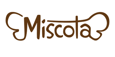Miscota - Référencement naturel