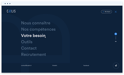 Awwwards avec un WordPress pour Caelis - Stratégie de contenu