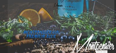 Tienda Online Montpensier Gin Premium - E-commerce