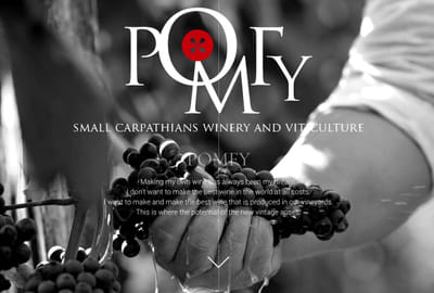 E-Commerce for Awarded Wine Producer - E-commerce