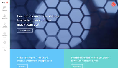 Wordpress website en Online marketing voor True.nl - Website Creation