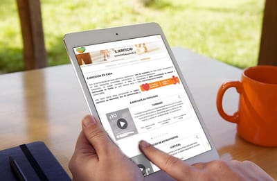 Web Danacol - Creación de Sitios Web