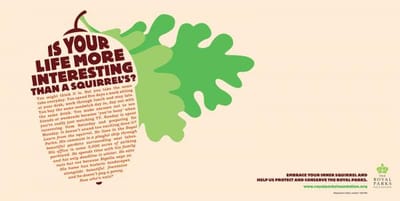 Embrace your inner squirrel - Création de site internet