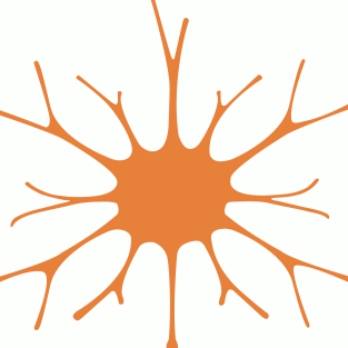 MATIERE GRISE CONSULTING