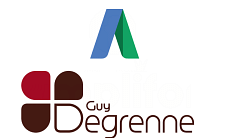 Guy Degrenne - AdWords - E-commerce - Onlinewerbung