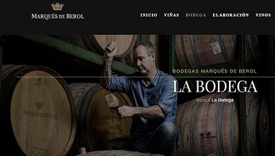 PAGINAS WEB ZONA: Diseño tienda online Bodega - Estrategia digital
