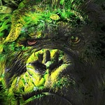 Green Gorilla Video logo