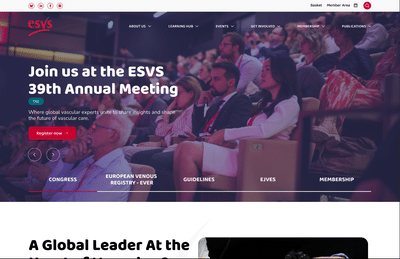 ESVS : Refonte du site international - Creación de Sitios Web