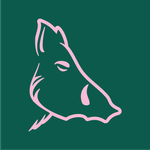 Wild Visual Communications logo