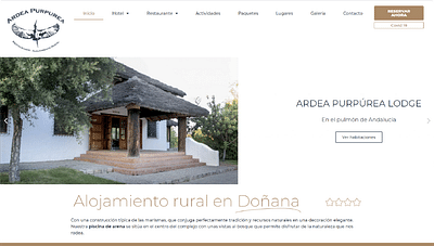 Diseño web para ARDEA PURPUREA - Creación de Sitios Web