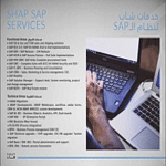 Shap IT Consultants logo