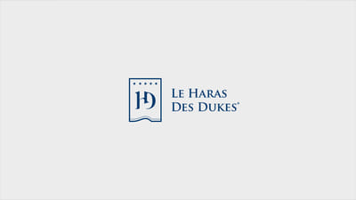 HARAS DES DUKES - Une écurie à la hauteur ses ambitions - Image de marque & branding