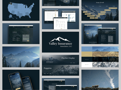 Valley Insurance - Aplicación Web