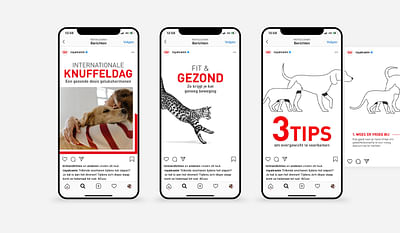 Royal Canin: Always-on Social Media - Reclame