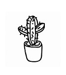 7 Cactus