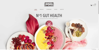 Digital Marketing For Kapai puku - Référencement naturel