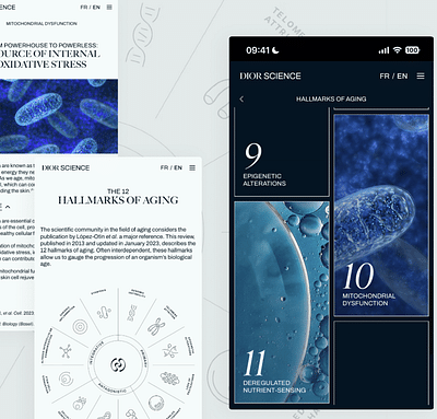 Dior Science - Ergonomie (UX/UI)