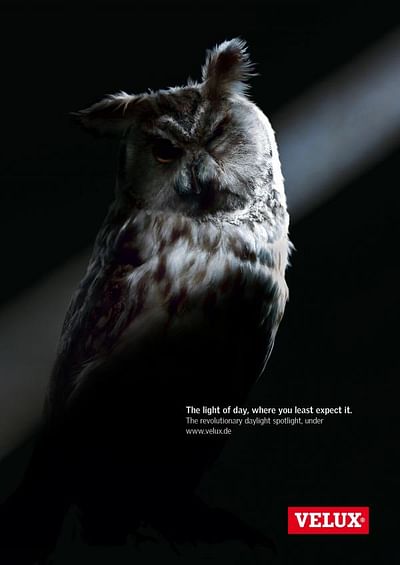 OWL - Publicité
