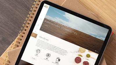 Website Design For Agrico International - Création de site internet