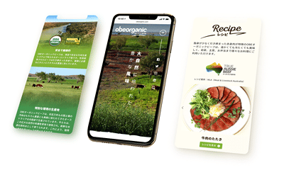 Helping Australian beef exporter gain traction - Création de site internet