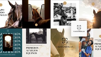 Thorough Branding for a Prestigious Stud Business - Réseaux sociaux