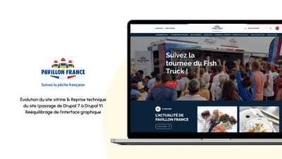 Pavillon France - Refonte - Creación de Sitios Web