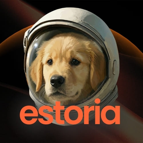 Estoria Agencia de Marketing Digital