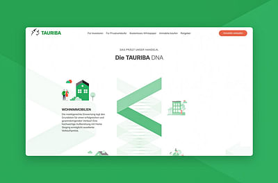 Webdesign tauriba.de