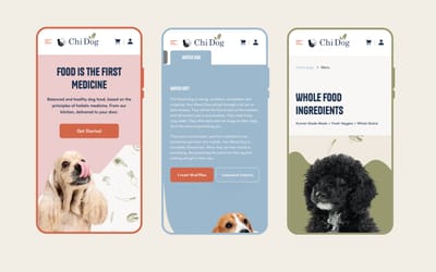 Design & Shopify Development for Chi Dog - Administration web