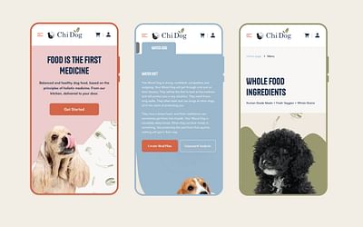 Design & Shopify Development for Chi Dog - E-commerce