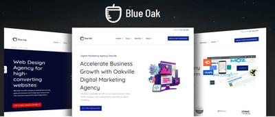 Deliverydevs addressed Blue Oak’s challenges - Website Creation